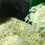arroz-ag-brasil-300x168-1