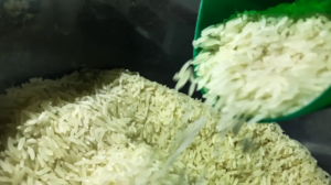 arroz-ag-brasil-300x168-1