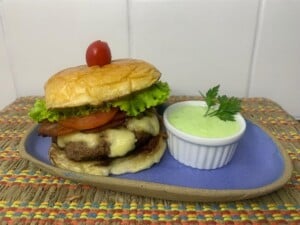 diamundialdohamburguer_Larissa-Fernandes_CREDITO_Estacio-300x225-1