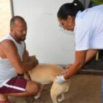 vacinacao-de-animais-vacina-antirrabica-ft-Thiago-Paixao1-300x200-1