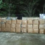 345-kg-de-maconha-300x225-1