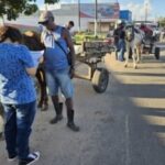 Carroceiro-amigo-projeto-300x234-1