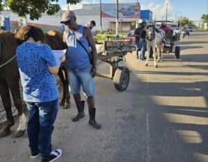 Carroceiro-amigo-projeto-300x234-1