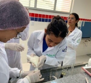 Estudantes-baianos-usam-folha-da-goiabeira-para-desenvolver-protetor-solar-300x276-1