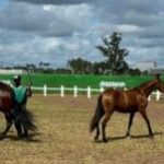 Expo-portal-300x151-1