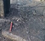 Incendio-em-postes-Foto-Paulo-Jose-Acorda-Cidade-300x135-1