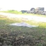 Jovem-e-morto-em-Mata-de-Sao-Joao-apos-ser-atraido-por-criminosos-Foto-Reproducao-300x158-1