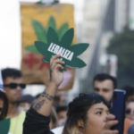 Maconha-Foto-Paulo-Pinto-Agencia-Brasil-300x179-1