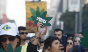 Maconha-Foto-Paulo-Pinto-Agencia-Brasil-300x179-1