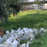 Mictorios-Foto-reproducao-Diga-Ai-Feira-300x277-1