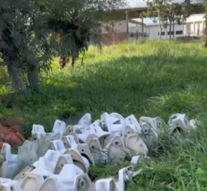 Mictorios-Foto-reproducao-Diga-Ai-Feira-300x277-1