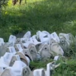 Mictorios-Foto-reproducao-Diga-Ai-Feira-e1717766314597-300x190-2