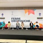 Simposio-de-Febre-Oropouche-Foto-Sesab-300x225-1