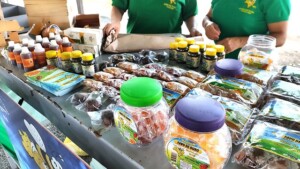 Uefs-realiza-I-Simposio-de-Meliponicultura-do-Bioma-Caatinga-ft-Ed-Santos-Acorda-Cidade5-300x169-1