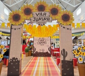 Vila-Junina-Boulevard-3-300x267-1