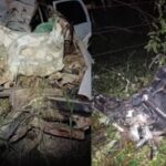 acidente_caravelas_redessociais-1-300x188-1