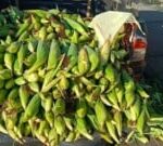 alimentos-tipicos-do-Sao-Joao-ft-paulo-jose-acorda-cidade-300x135-1