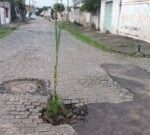 buraco-cana-de-acucar-rua-maguari-parque-ipe-foto-paulo-jose-acorda-cidade-300x135-1