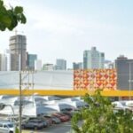 gbarborsa_Foto_Erik_Salles-300x201-1