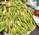 milho-centro-de-abastecimento-ft-Paulo-Jose-acorda-cidade-300x135-1