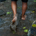 pes-na-lama-ft-ag-brasil-300x166-1