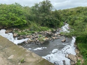poluicao-do-rio-jacuipe-foto-vereador-jurandy-carvalho-01-300x225-1