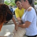 vacinacao-animais-Foto-Valdenir-Lima-Arquivo-300x151-1