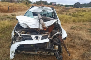 Carro-colide-com-cavalo-na-BR030.p-300x200-1