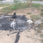 Casa-de-animais-abandonados-e-incendiada-300x169-1