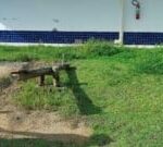 Maes-solicitam-limpeza-de-escola-infantil-8-300x135-1