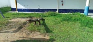 Maes-solicitam-limpeza-de-escola-infantil-8-300x135-1