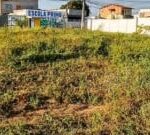 Moradores-reclamam-da-falta-de-limpeza-e-de-iluminacao-em-terreno-no-bairro-Conceicao-5-300x135-1