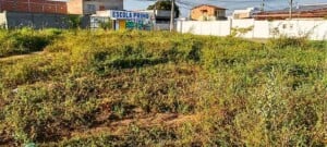 Moradores-reclamam-da-falta-de-limpeza-e-de-iluminacao-em-terreno-no-bairro-Conceicao-5-300x135-1