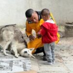 Socorristas-salvam-crianca-de-2-anos-engasgado-com-uma-bala-comportamento-de-cachorro-chama-atencao-4-300x225-1
