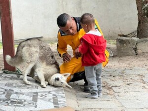 Socorristas-salvam-crianca-de-2-anos-engasgado-com-uma-bala-comportamento-de-cachorro-chama-atencao-4-300x225-1