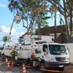 megaoperacao-neoenergia-coelba-poda-de-arvores-foto-divulgacao-300x203-1