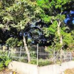 predio-abandonado-antiga-subdelegacia-da-justica-do-trabalho-foto-ed-santos-acorda-cidade-1