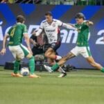 vitoria-e-palmeiras-300x200-1