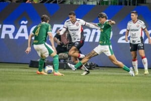 vitoria-e-palmeiras-300x200-1