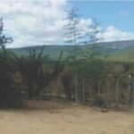 zonarural_chapadadiamantina_88fm-300x200-1