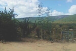 zonarural_chapadadiamantina_88fm-300x200-1