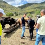 Cadastramento-do-programa-mais-pecuaria-Brasil-Foto-Danielly-Cerqueira-7-300x200-1