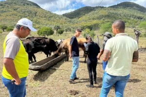 Cadastramento-do-programa-mais-pecuaria-Brasil-Foto-Danielly-Cerqueira-7-300x200-1