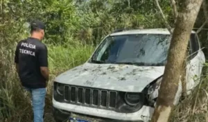 Carro-da-delegada-bateu-contra-arvore-segundo-suspeito-apos-ela-puxar-volante-durante-discussao-300x177-1