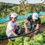 Edital-que-garante-agua-para-producao-e-cuidado-animal-agricultura-300x162-1
