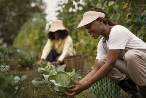 Foto-Agricultura-300x201-1