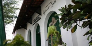 Museu-de-Arte-contemporanea-300x151-1