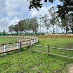 Parque-de-Exposicoes-Joao-Martins-da-Silva-foto-Danielly-Cerqueira-2