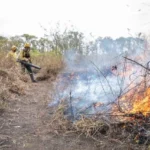 WAMt2vRI-Policia-Federal-intensifica-investigacoes-sobre-incendios-jpg