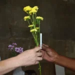 YMbWCE4d-acao_saude_cigarro_thiagopaixao-jpg